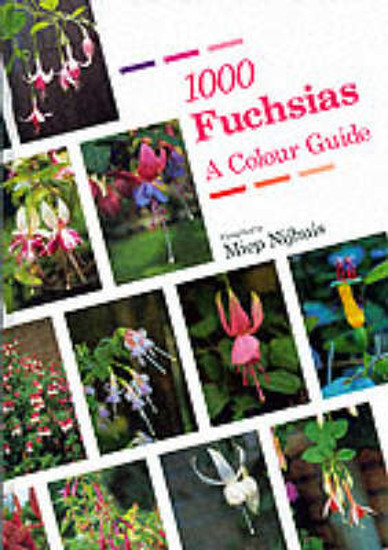 Picture of 1000 Fuchsias