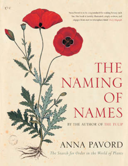 Picture of The Naming of Names