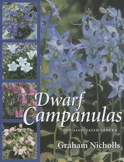 Picture of Dwarf Campanulas