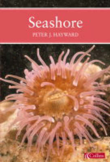 Picture of New Naturalist: Seashore