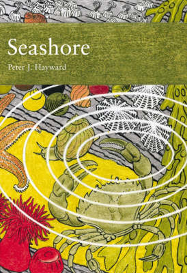 Picture of New Naturalist: Seashore