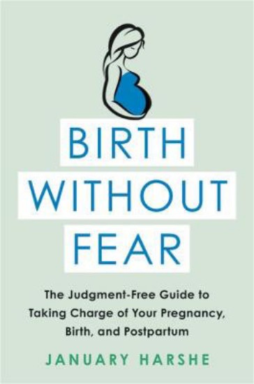 Picture of Birth Without Fear