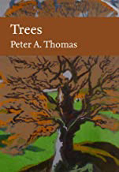 Picture of Trees (collins New Naturalist Library)