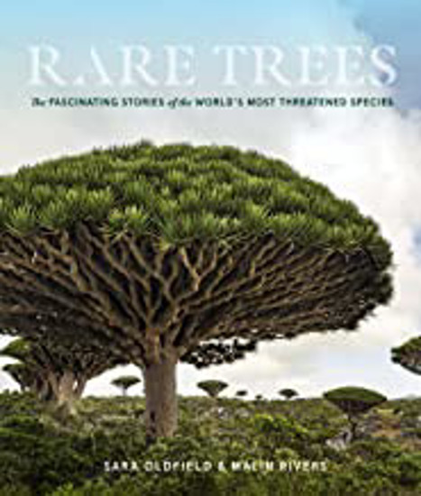 Picture of Rare Trees: The Fascinating Stories Of The World's Most Threatened Species
