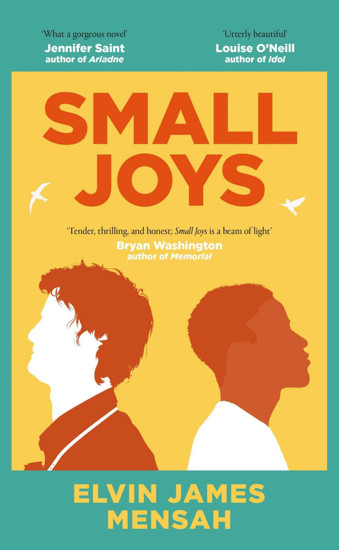 Picture of Small Joys SIGNED FIRST EDITION