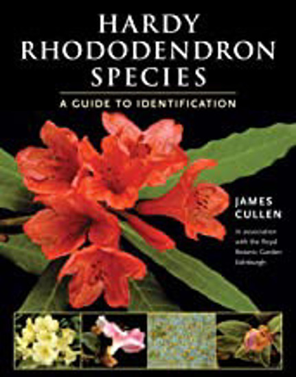 Picture of Hardy Rhododendron Species