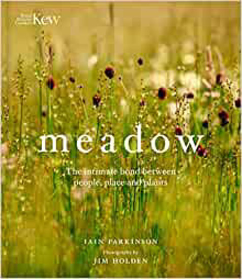 Picture of Meadow: The Intimate Bond Between People, Place And Plants