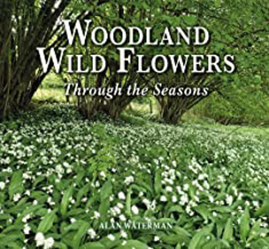Picture of Woodland Wild Flowers: Through The Seasons