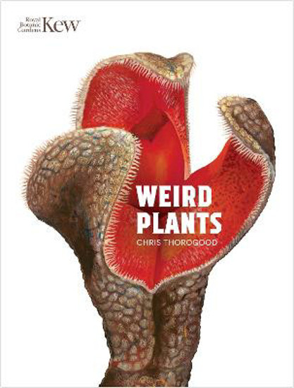 Picture of Weird Plants