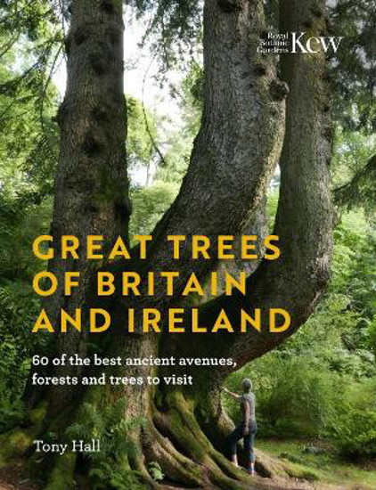 Picture of Great Trees Of Britain And Ireland: Over 70 Of The Best Ancient Avenues, Forests And Trees To Visit