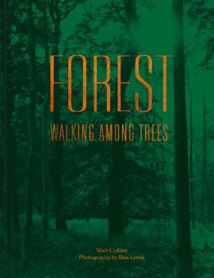 Picture of Forest: Walking Among Trees