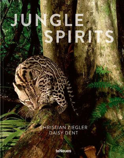 Picture of Jungle Spirits