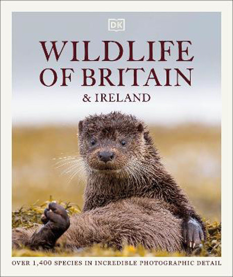 Picture of Wildlife of Britain & Ireland