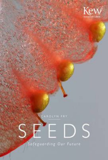 Picture of Seeds