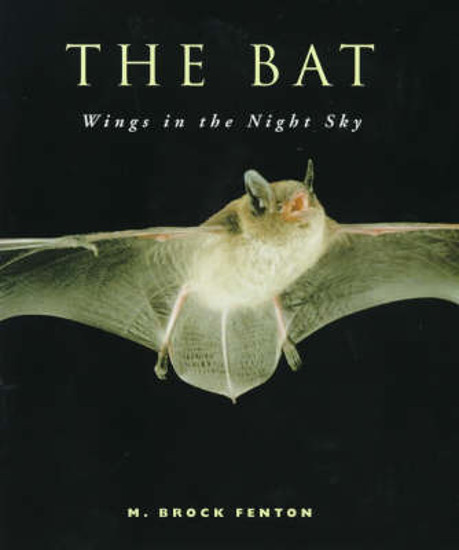 Picture of The Bat: Wings in the Night Sky