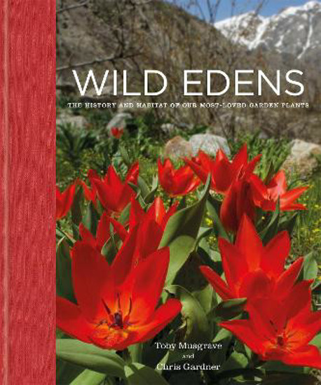 Picture of Wild Edens FIRST EDITION