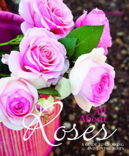 Picture of All About Roses
