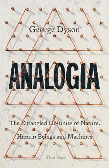 Picture of Analogia: The Entangled Destinies of Nature, Human Beings and Machines