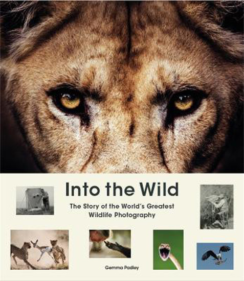 Picture of Into the Wild: The Story of the World's Greatest Wildlife Photography