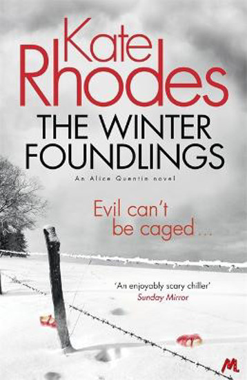 Picture of The Winter Foundlings: Alice Quentin 3