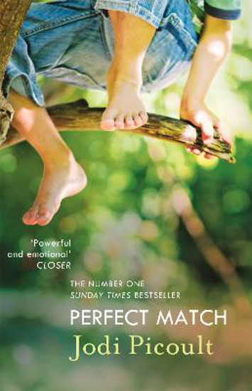 Picture of Perfect Match: the international bestseller about the strength of a mother's love