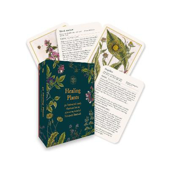Picture of Healing Plants - A Botanical Card Deck: 50 botanical cards illustrated by the pioneering herbalist Elizabeth Blackwell