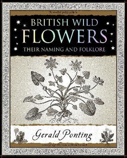 Picture of British Wild Flowers: Their Naming and Folklore