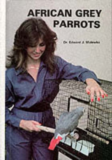 Picture of African Grey Parrots